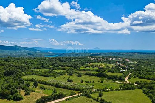 Arsa Barban, Istria