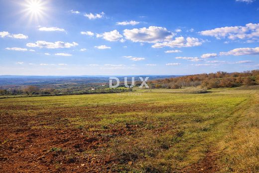 Arsa Vižinada, Općina Vižinada
