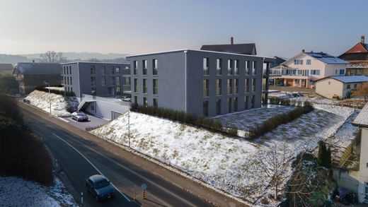 Apartment in Misery, See District