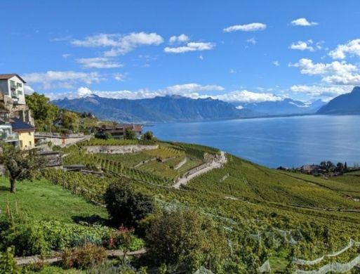Villa in Chexbres, Lavaux-Oron District