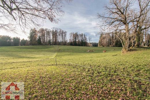 Luxury home in Les Monts-de-Corsier, Riviera-Pays-d'Enhaut District