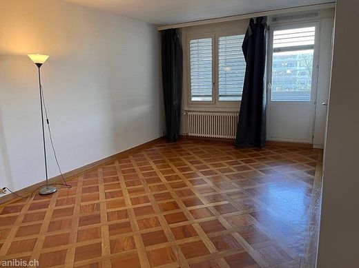 Apartment in Petit Lancy, Geneva