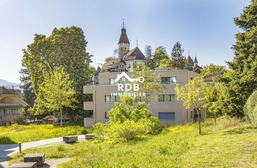 Apartament w Thun, Thun District