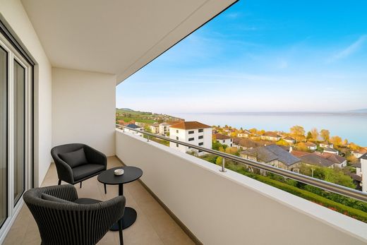 Daire Gorgier, Boudry District