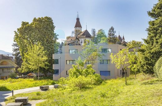 Apartment in Thun, Thun District