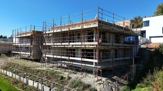 Casa de luxo - Grimisuat, Sion District