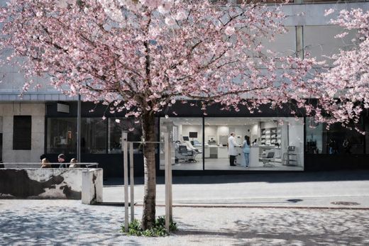 Office in Sion, Sion District