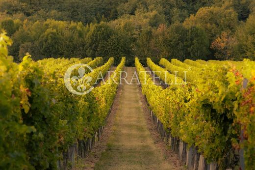 Rural or Farmhouse in Greve in Chianti, Florence