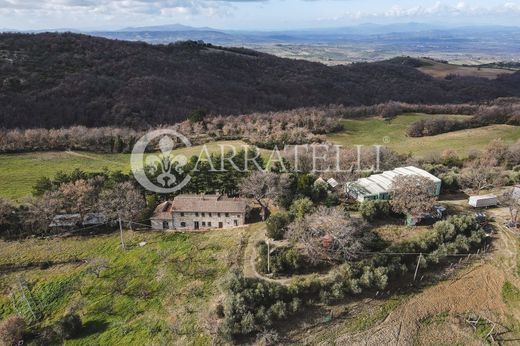 Demeure ou Maison de Campagne à Castel del Piano, Provincia di Grosseto