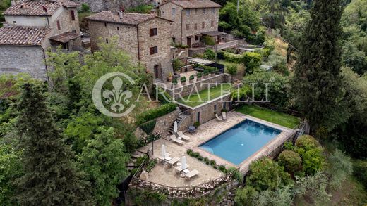 Gaiole in Chianti, Provincia di Sienaのカントリー風またはファームハウス