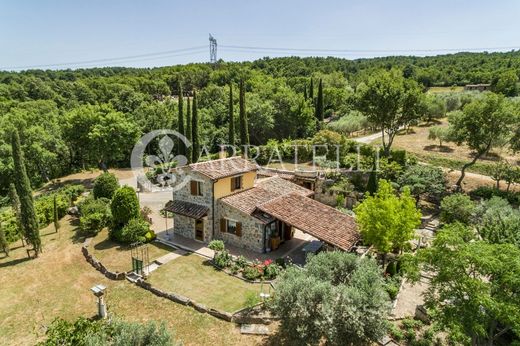 Castiglione d'Orcia, Provincia di Sienaのカントリー風またはファームハウス