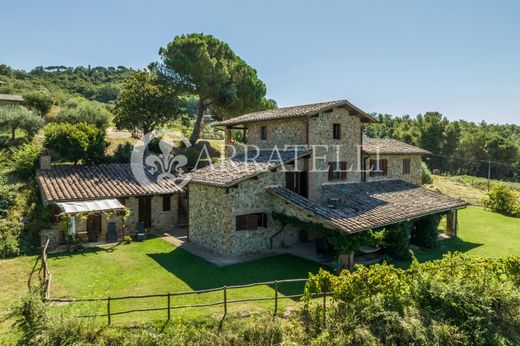 Rural or Farmhouse in Città della Pieve, Provincia di Perugia