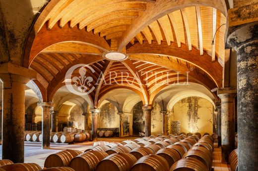 Ρουστίκ ή Αγροικίες σε Castellina in Chianti, Provincia di Siena