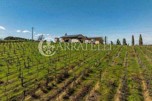 Casa rural / Casa de pueblo en Arezzo, Toscana