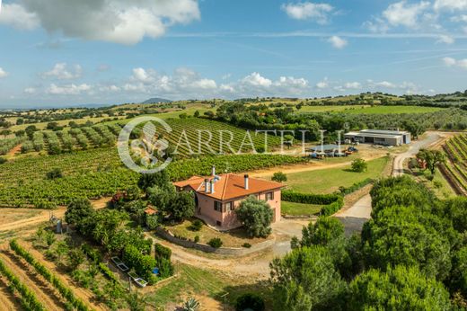 전원/농가 / Grosseto, Provincia di Grosseto