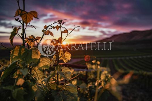 Demeure ou Maison de Campagne à Montalcino, Sienne