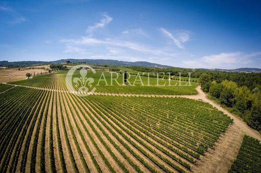 ﻣﻨﺰﻝ ﺭﻳﻔﻲ/ ﺑﻴﺖ ﻤﺰﺭﻋﺔ ﻓﻲ Sarteano, Provincia di Siena