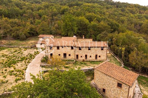 Ρουστίκ ή Αγροικίες σε Castellina in Chianti, Provincia di Siena