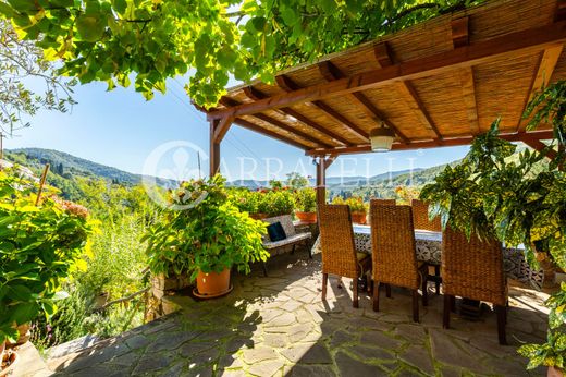 Greve in Chianti, Province of Florenceのカントリー風またはファームハウス