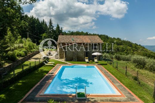 Rural or Farmhouse in Pelago, Florence