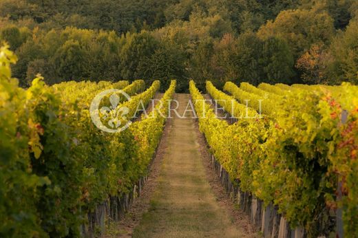 Rural or Farmhouse in Greve in Chianti, Florence