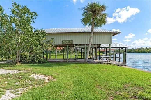 Casa de lujo en Homosassa Springs, Citrus County