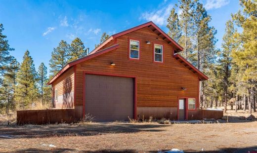 Luxury home for sale in Pagosa Springs