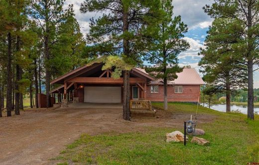 Luxury home for sale in Pagosa Springs