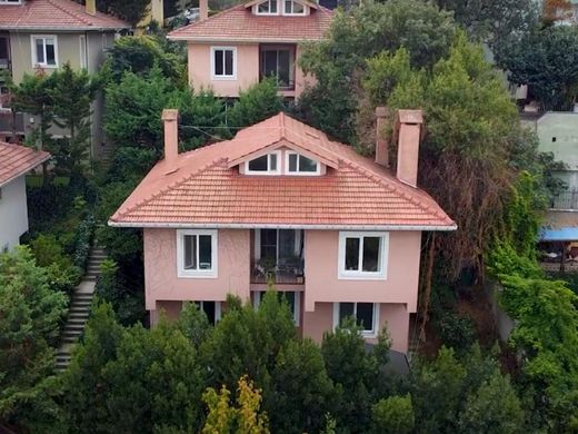 Luksusowy dom w Üsküdar, İstanbul