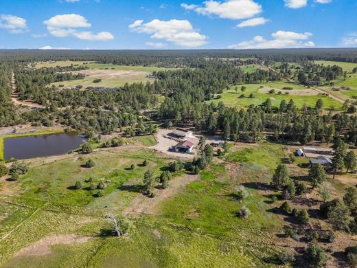 Luxus-Haus in Mancos, Montezuma County