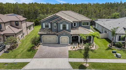 Luxury home in Odessa, Pasco County