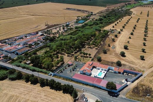 Boerderij in Beja, Distrito de Beja