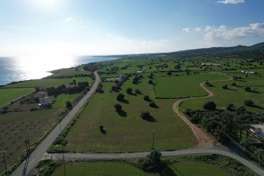 Grundstück in Ágios Theódoros, Agios Theodoros (Larnakas)