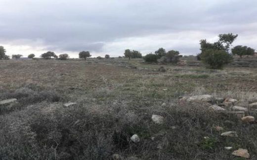 Páchna, Limassol Districtの土地