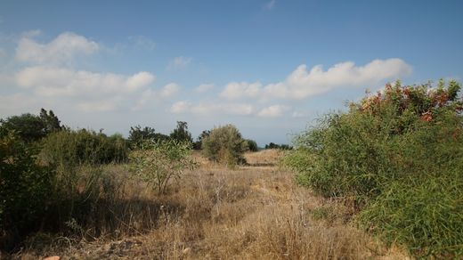 地皮  Tála, Paphos District