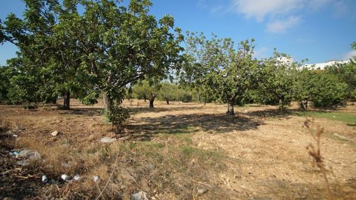 Arsa Mesógi, Paphos District