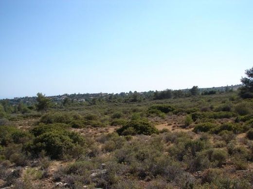 Grundstück in Zanakiá, Soúni-Zanakiá