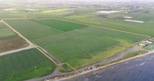 Arsa Softádes, Eparchía Lárnakas