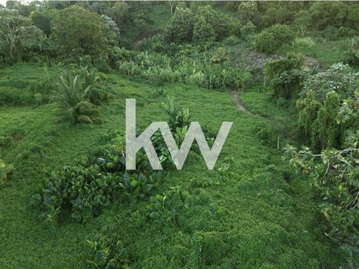 地皮  Trois-Rivières, Guadeloupe