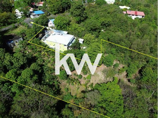 Arsa Baillif, Guadeloupe