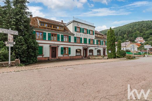 Вилла, Wangenbourg, Bas-Rhin