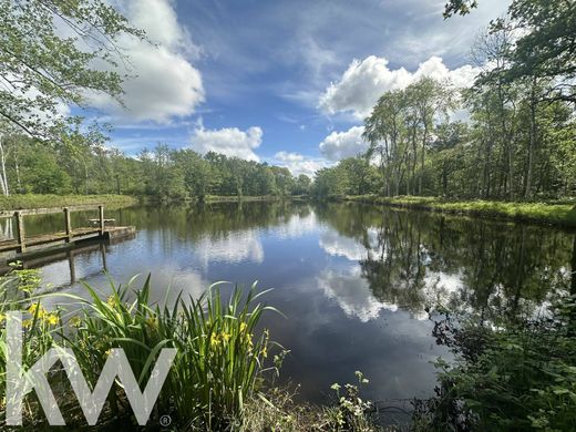 منزل ريفي ﻓﻲ La Ferté-Saint-Cyr, Loir-et-Cher