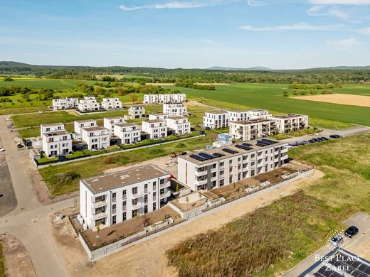 Wiesbaden, Regierungsbezirk Darmstadtのアパートメント