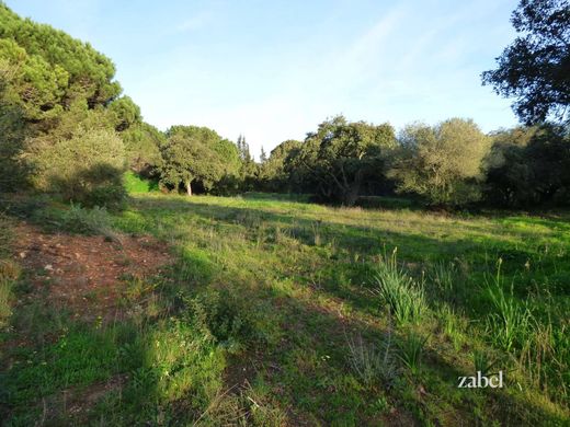 Land in Sotogrande, Cadiz