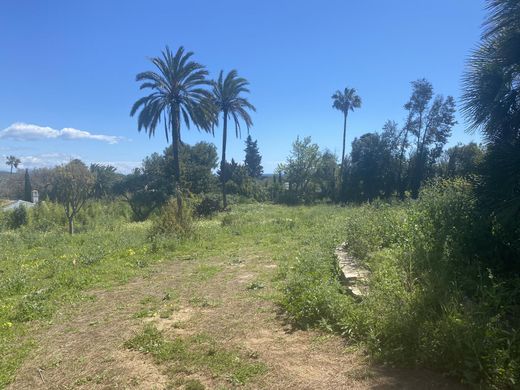 토지 / 소토그란데, Provincia de Cádiz
