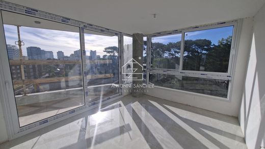 Apartament w Punta del Este, Punta Del Este