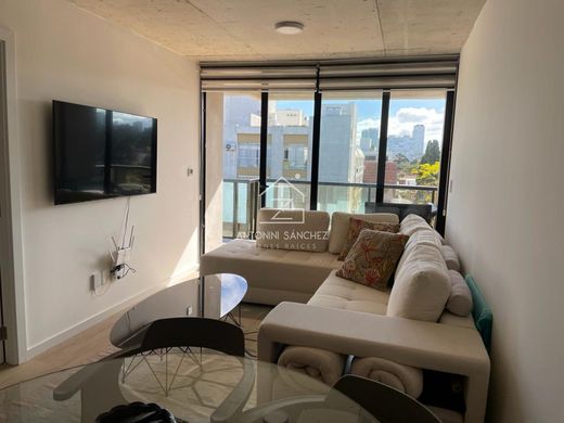 Apartment in Punta del Este, Punta Del Este