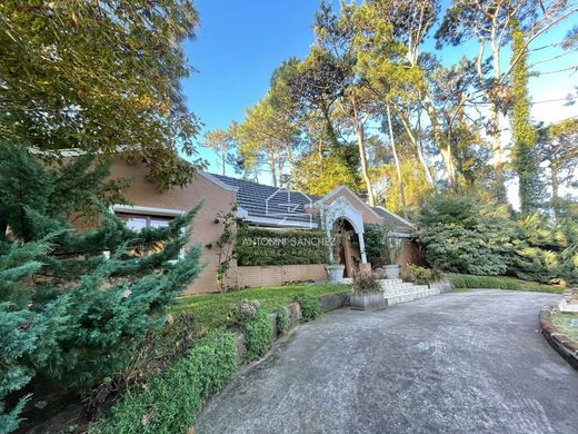 Detached House in Punta del Este, Punta Del Este