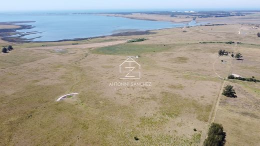 Farm in José Ignacio, Garzón