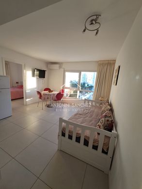Apartament w Punta del Este, Punta Del Este